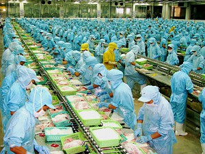 Cơ cấu tổ chức của công ty