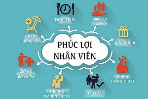 Chính sách phúc lợi của công ty
